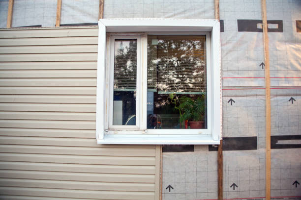 Best Vinyl Siding Installation  in Madison, NE