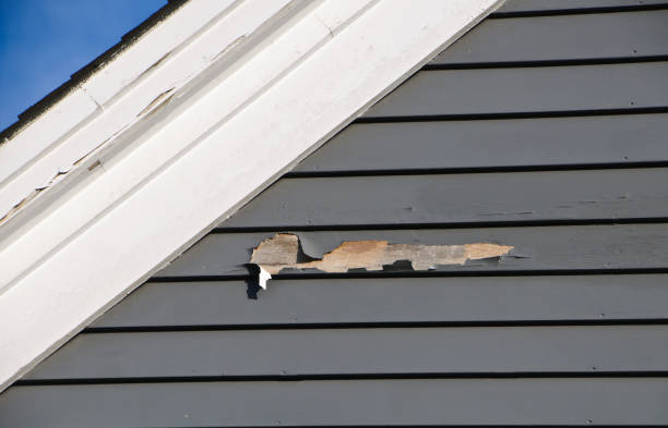 Best Storm Damage Siding Repair  in Madison, NE