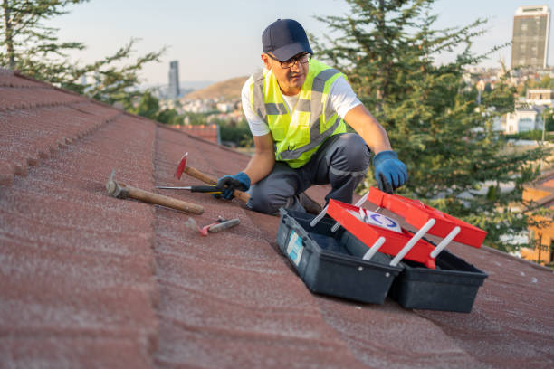 Best Fascia and Soffit Installation  in Madison, NE